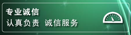 竹山网站排名